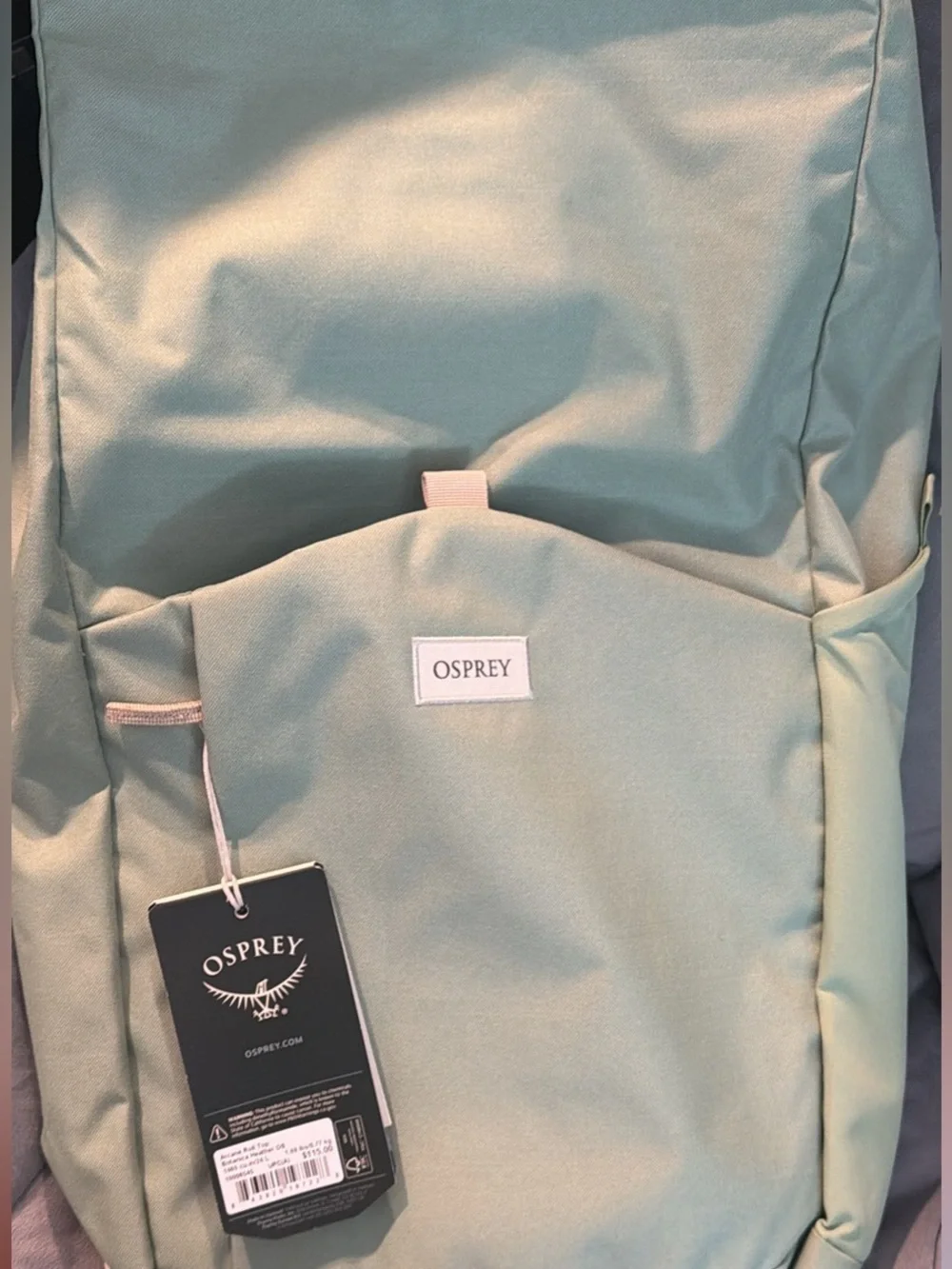 OSPREY Pale Mint Green Daypack Backpack